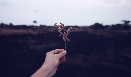 如何提高自己为人处世的能力-贵阳精神病医院